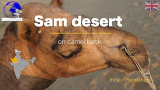 Sam dunes, a camel ride • Rajasthan, India